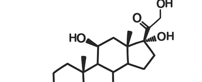 ak obniżyć kortyzol naturalnie? Reishi i Cordyceps na stres, zmęczenie i równowagę hormonalną